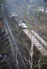 A202503005