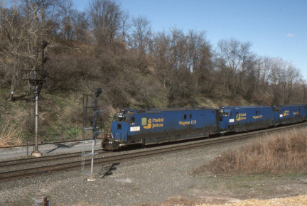 A202503029