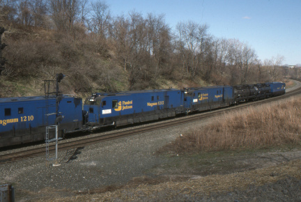 A202503031