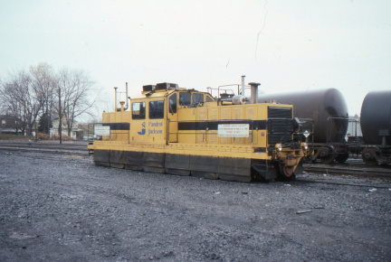 A202503035