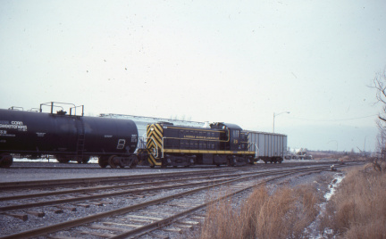 A202505204