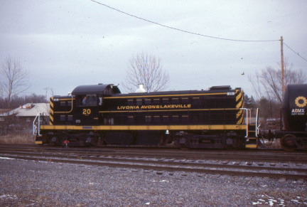 A202505203