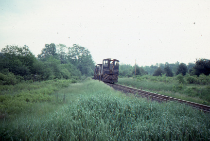 A202506004
