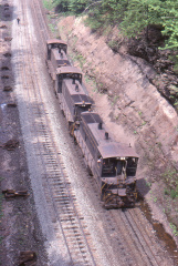 A202506007