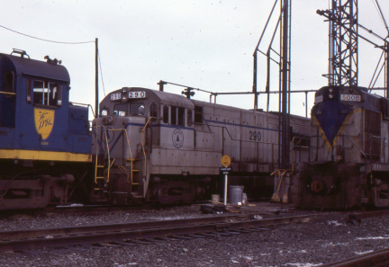 A202506145