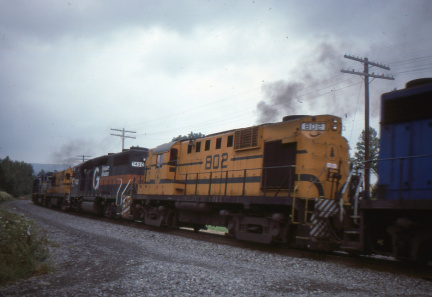 A202506175