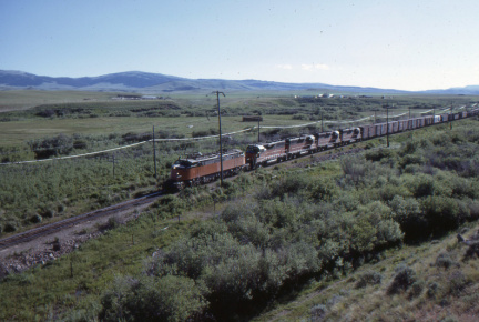 A202506279