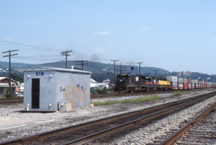 A202506575