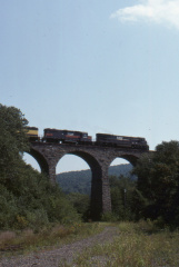 A202506573