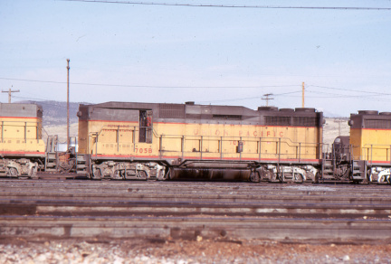 A202507028