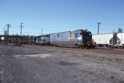 A202601244